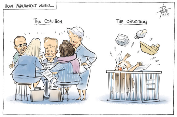 The Canberra Times editorial cartoon for Wednesday, February 13, 2019.