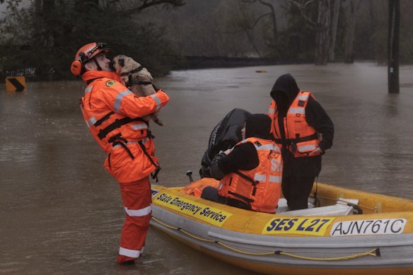 An SES member holds Hondo the dog as Lansvale residents Jack and Jamarcus, along with their pets, are evacuated by the NSW SES Kogarah Unit at the Georges River.