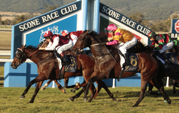 Racing is at Scone on Tuesday  with a seven race card.