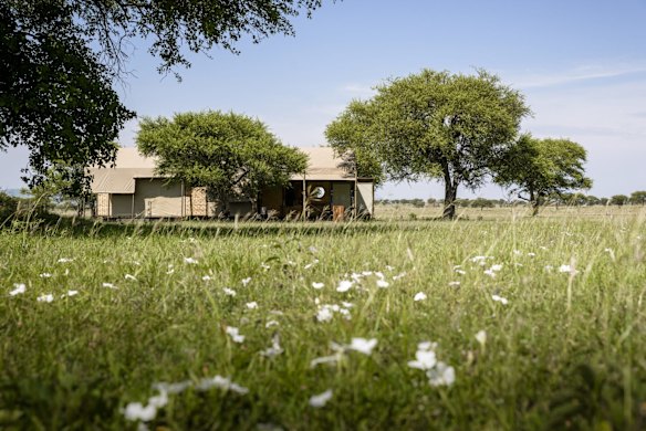 Singita Sabora Tented Camp, Serengeti, Tanzania. 