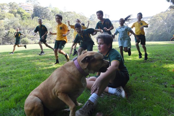 North Shore parents such as Sally Cameron and Larissa Penn have expressed concerns about the proposed Beaches Link.