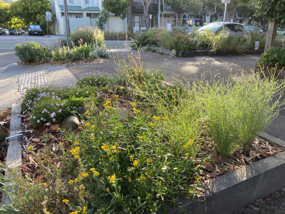The South Melbourne bee garden will be part of the Melbourne Pollinator Corridor