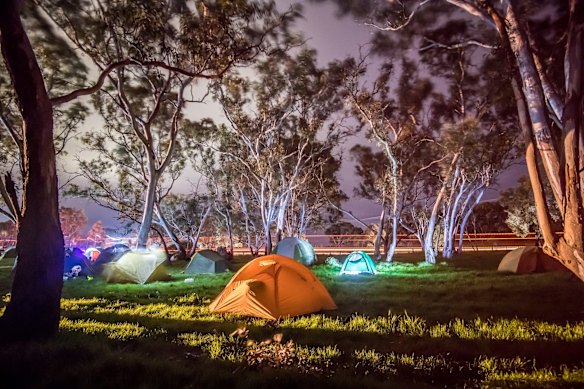 Campground among a grove of Eucalypts at the Djab Wurrung Embassy camp. 