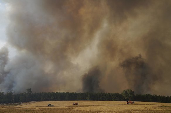 A forest fire between Tooma and Tumbarumba, NSW this afternoon, 10 January 2020. 
