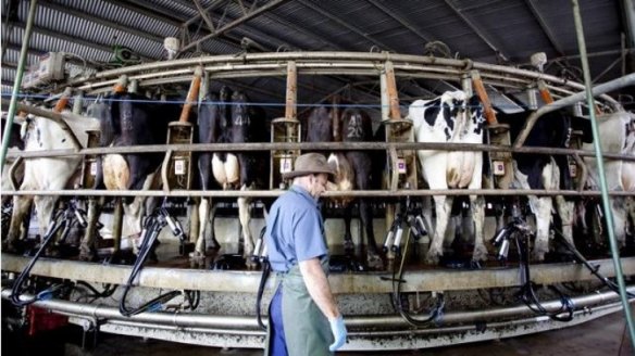 The trial can help turn dairy farms into mini-power plants.