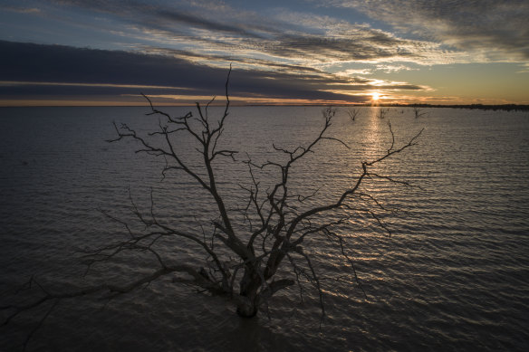 Menindee Lakes in far-western NSW have been filling for the first time in five years. Future climate predictions suggest the Barwon-Darling River which feeds them may cease to flow about 40 per cent of the time. 