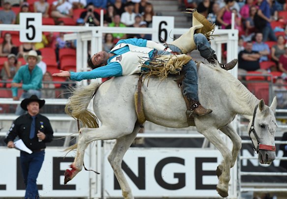 Easter Show Rodeo