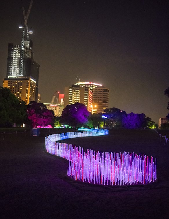 Vivid in the Royal Botanic Gardens.