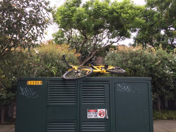 An abandoned ofo share bike in Sydney 
