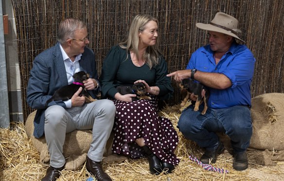 Anthony Albanese holds a puppy at the Sydney Royal Easter Show.