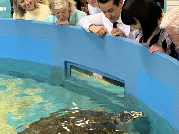 Queensland Liberal National Party leader David Crisafulli during a visit to the Cairns Turtle Rehabilitation Centre on Monday.