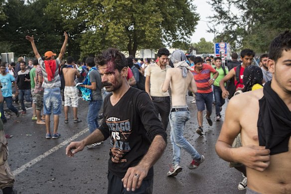A refugee protestor is left bloodied after police responded with force against Refugees protesting in Horgos on the Serbian/Hungarian border after the refugees pushed through the border fence into Hungary.