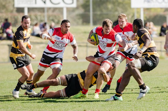 Canberra Vikings v Perth Spirit in National Rugby Championship rugby union. Canberra Vikings left centre James Dargaville.
