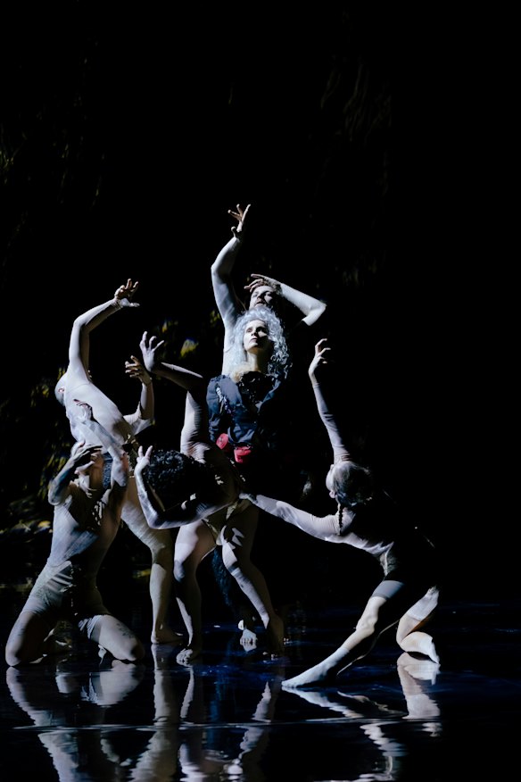 Like skeletons of trees, dancers extend their arms in the moonlight in the second half of The Forest.