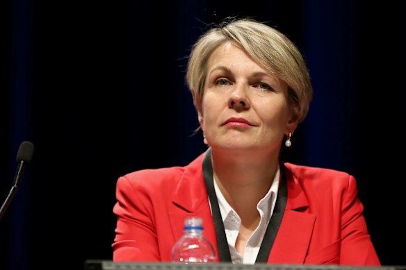 Deputy Opposition Leader Tanya Plibersek.