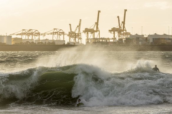 Young surfers brave rare waves breaking inside Botany Bay as damaging southerly winds hit Sydney.