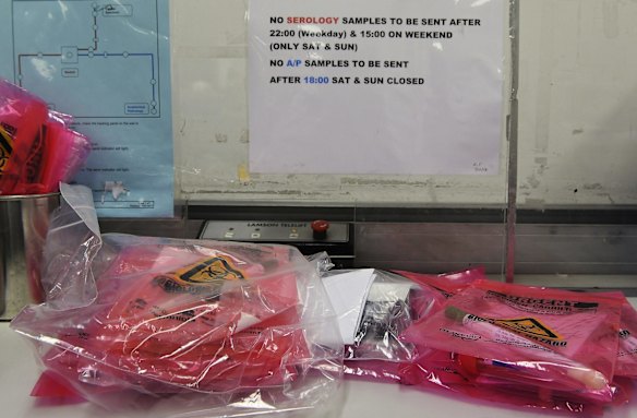 Samples to be tested for coronavirus at the Central Specimen Reception.