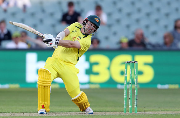 Travis Head will have a key role to play at the top of the order for Australia in their T20 series against the Proteas.