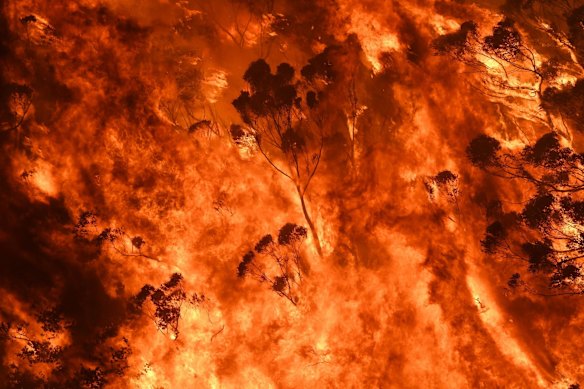 A raging crown fire in Bilpin at 5pm, December 21, 2019.