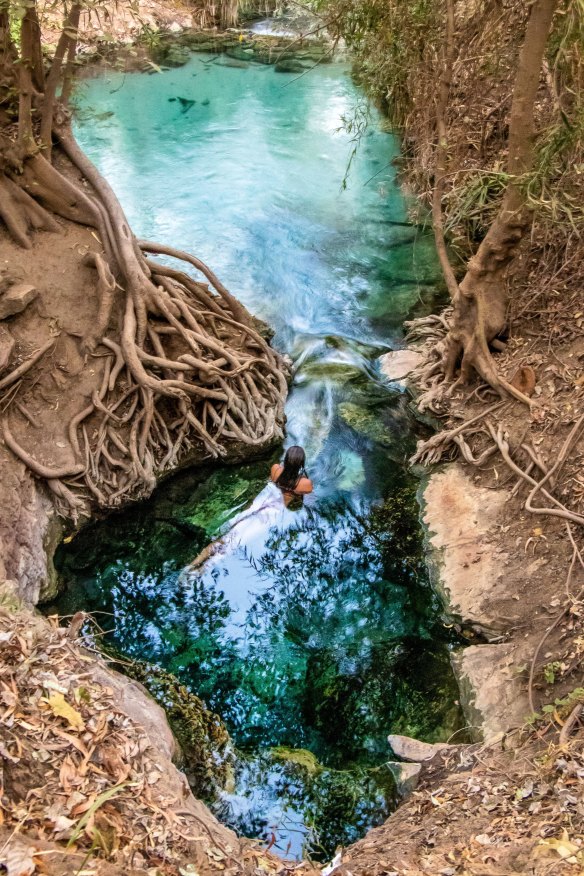 Tropical utopia … a series of small, clear pools framed by native vegetation.