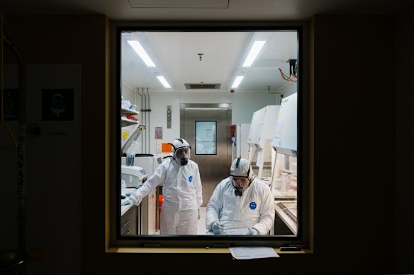 The Kirby Institute, which has been retrofitted and is now fully equipped to study the live SARS-CoV-2 virus. The lab’s head, Associate Professor Stuart Turville within the PC3 Lab. 