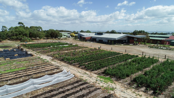 The new farm on an unused soccer field at Bellarine Secondary College, Drysdale campus