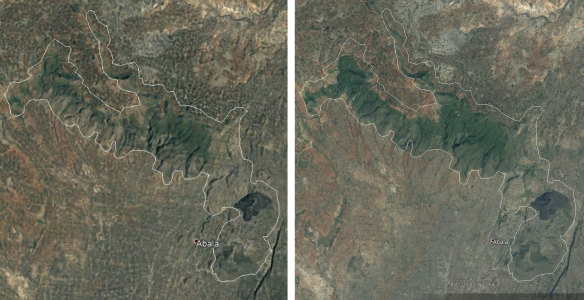 A satellite image of the Humbo region of Ethiopia, showing tree cover in 2005 (left) and in 2017 (right).