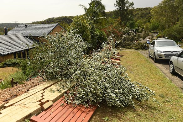 Damage in Davidson
Photo Nick Moir 26 nov 2019