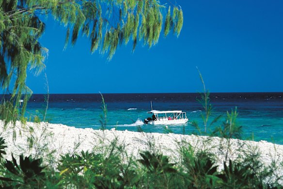 Lady Elliot Island, sometimes known as 'Manta Heaven', at the southernmost point of the Great Barrier Reef.