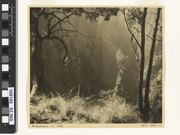 Orchestration in light, 1937, by Olive Cotton. Gelatin silver photograph. National Gallery of Australia, Canberra. Purchased with assistance from the Helen Ennis Fund.