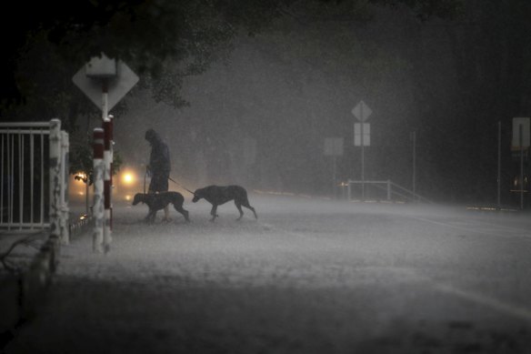 Despite the conditions, dogs still need to be walked and a few enthusiastic people take on the downpours in Centennial Park.
