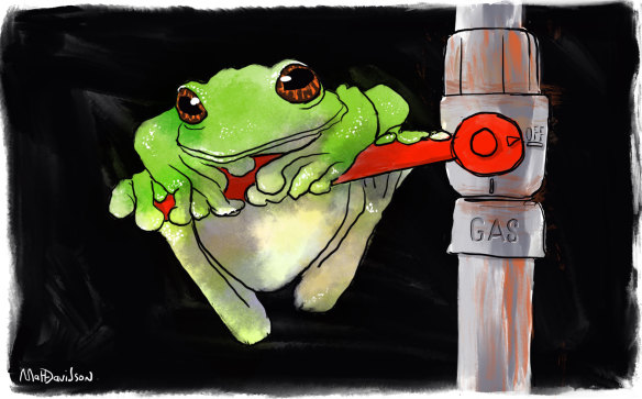 The Greens are proposing for Victorians to stop using natural gas within 12 years.