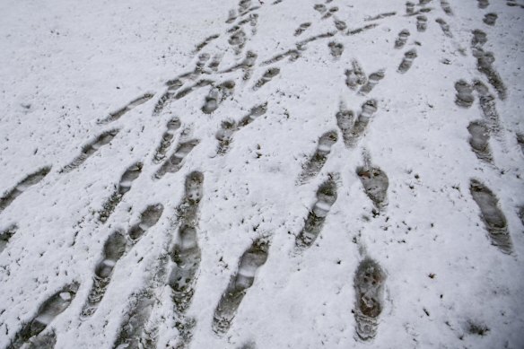 Snow falls in the Blue Mountains at Blackheath Oval. 