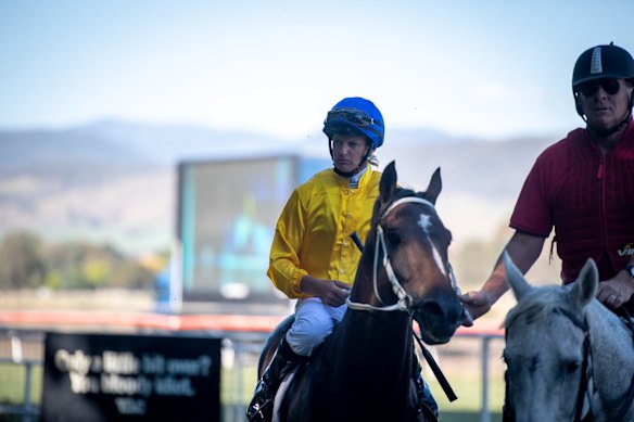 Towong races turn 150 with cracker Cup Day