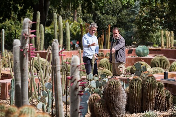 Looking sharp: Botanic Gardens unveils new cactus garden