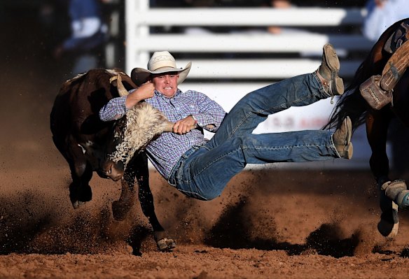Jace Land competes in the steer wrestling event at the Mount Isa Mines Rodeo.