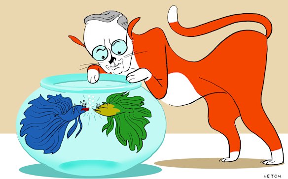 Illustration by Simon Letch