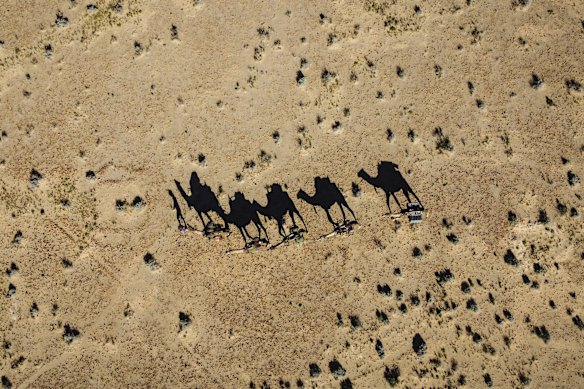 An aerial view as Sophie Matterson leads her five camels across the South Australian Desert on May 22, 2021 near Oodnadatta, Australia. Sophie left her life in Brisbane working in film and television to embark on the trek in March 2020. 
