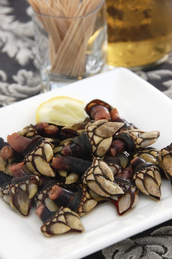 在加利西亚Percebes:世界上最大的海产品公司之一。