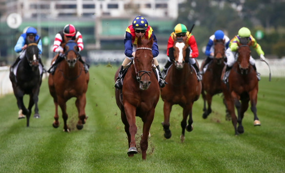 Fine form: Nature Strip, centre with Damian Lane aboard, delivered a brilliant time for the Flemington 1100m in June.