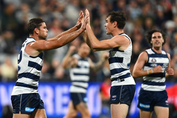 Those were the days: Tom Hawkins and Jeremy Cameron were unable to drag the Cats back to the finals this season.