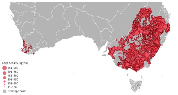 Density of carp in Australian drainage basins.