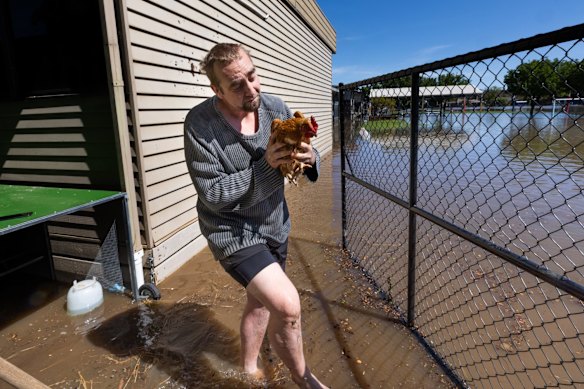 Robert Salter rescues a chicken from floodwater near his home in South Shepparton.