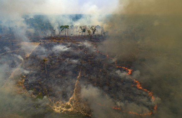 Large areas of the Amazon rainforest have burnt in recent years, often due to farming and land-clearing. Scientists fear too much fire in the “lungs of the planet” could trigger a tipping point of irreversible landscape change from jungle to savannah. 