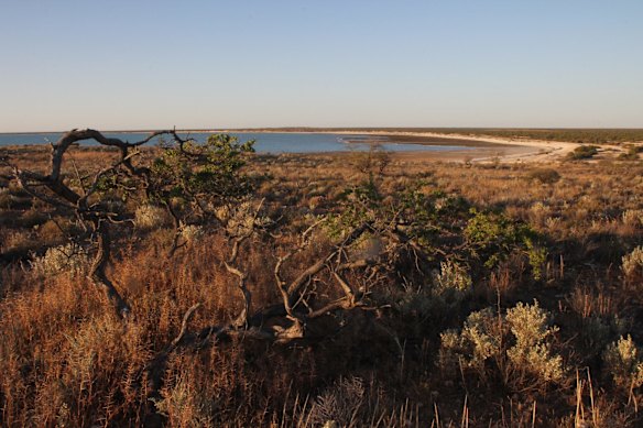 Quiet but compelling country. 