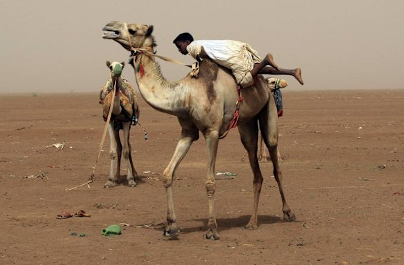 Sudanese camel race