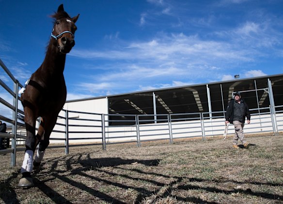 Retired serviceman Max Streeter, who suffers from PTSD, interacts with Vashka, a retired racing horse, as part of a equine therapy program run by Racing NSW in Capertee, NSW.