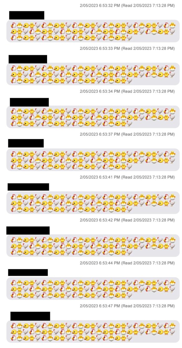 An example of the texts Joseph Barker received in a 15-second period on May 2, 2023.