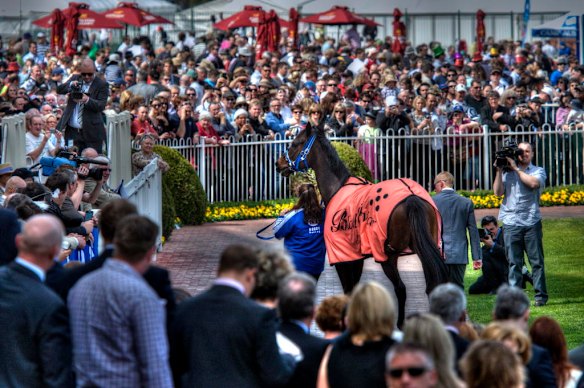 Victorian Spring Racing Carnival at Caulfield 2011