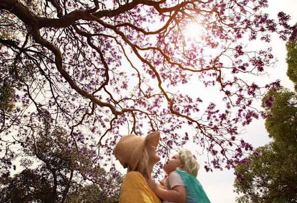 Tess Hewson with her daughter Chilli Abayomi looking at a jacaranda in the Royal Botanic Gardens.